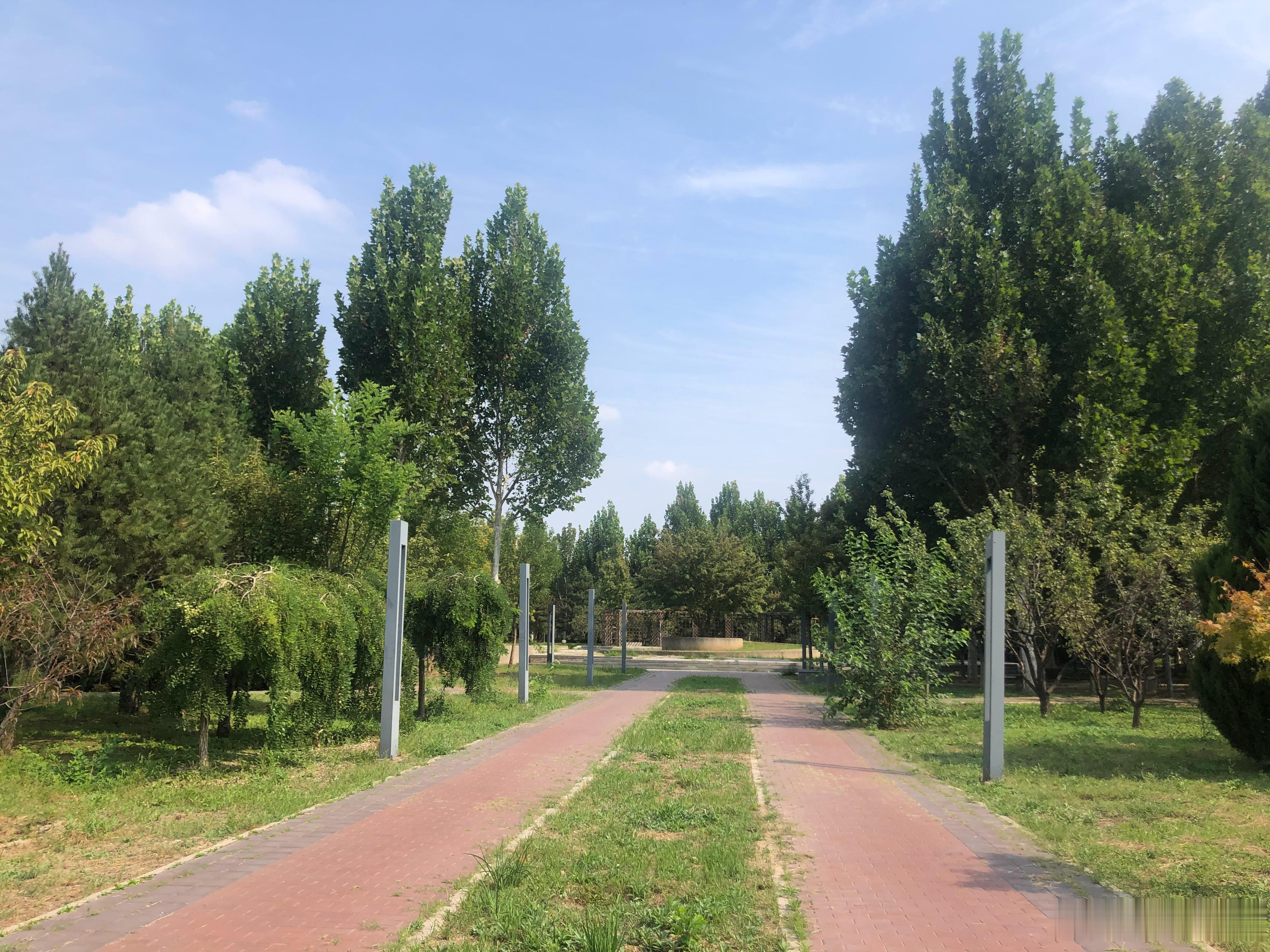 跑步……🏃‍♀️🏃‍♀️🏃‍♀️ ​​​
