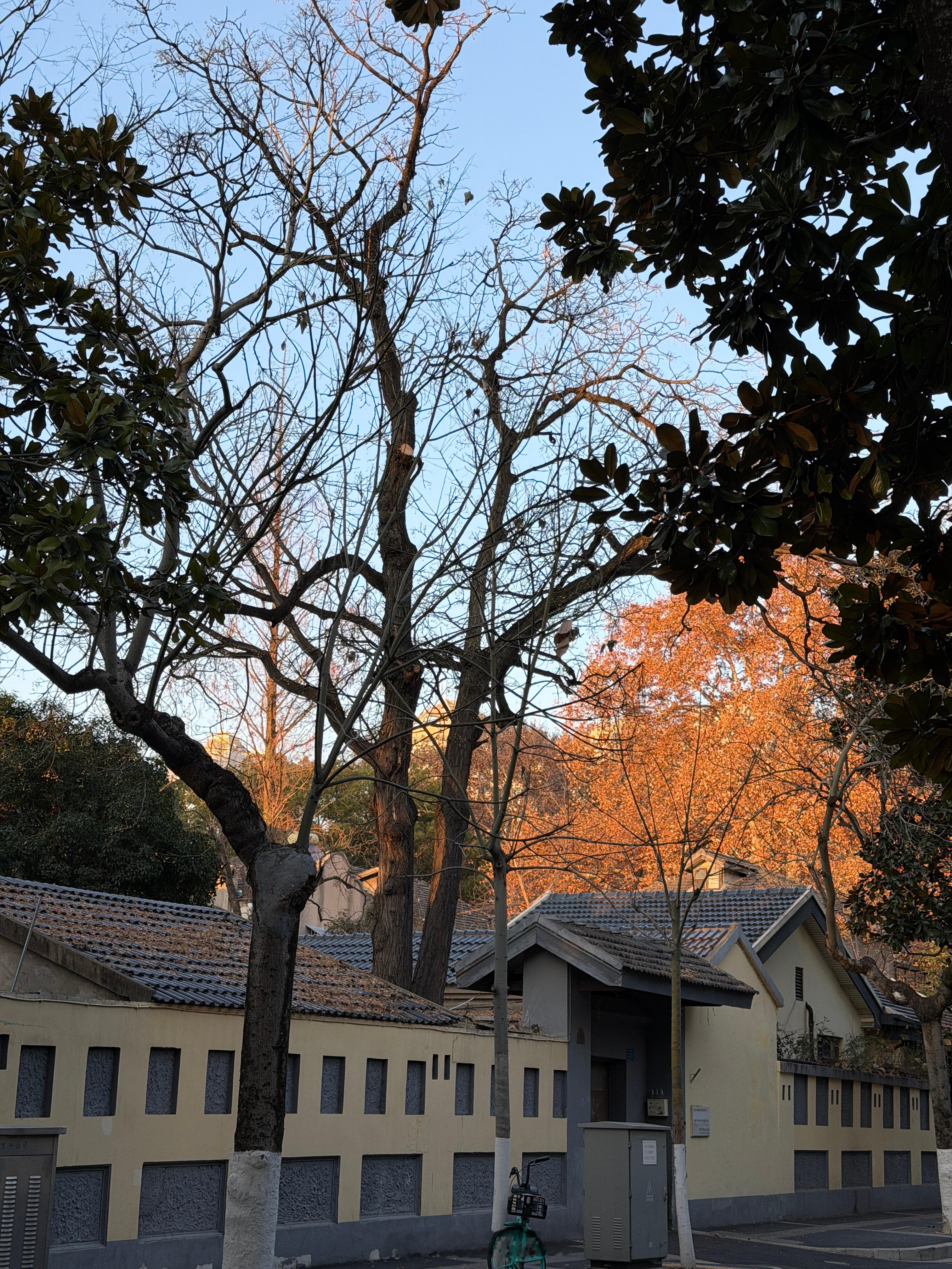 这座城不想再来了 南京