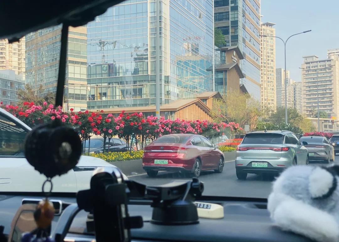 重庆市政真会种花
最近重庆的大街小巷
好多这种花啊！
这是啥品种啊？
重庆市政真