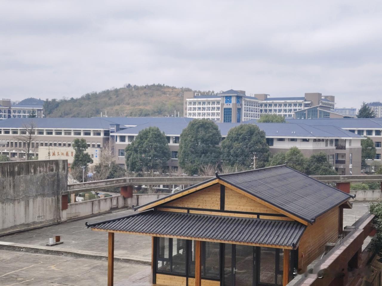 体制内中年人的幸福，藏在“被放过”里。
见过太多四十岁上下的朋友，还在纠结“要不