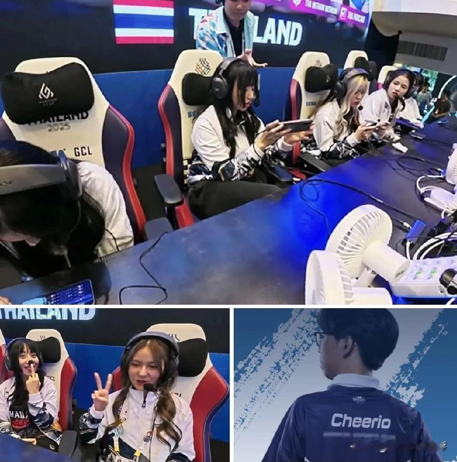 泰国前国家电子竞技队选手及其代打选手，涉嫌在去年东南亚运动会期间实施与计算机有关