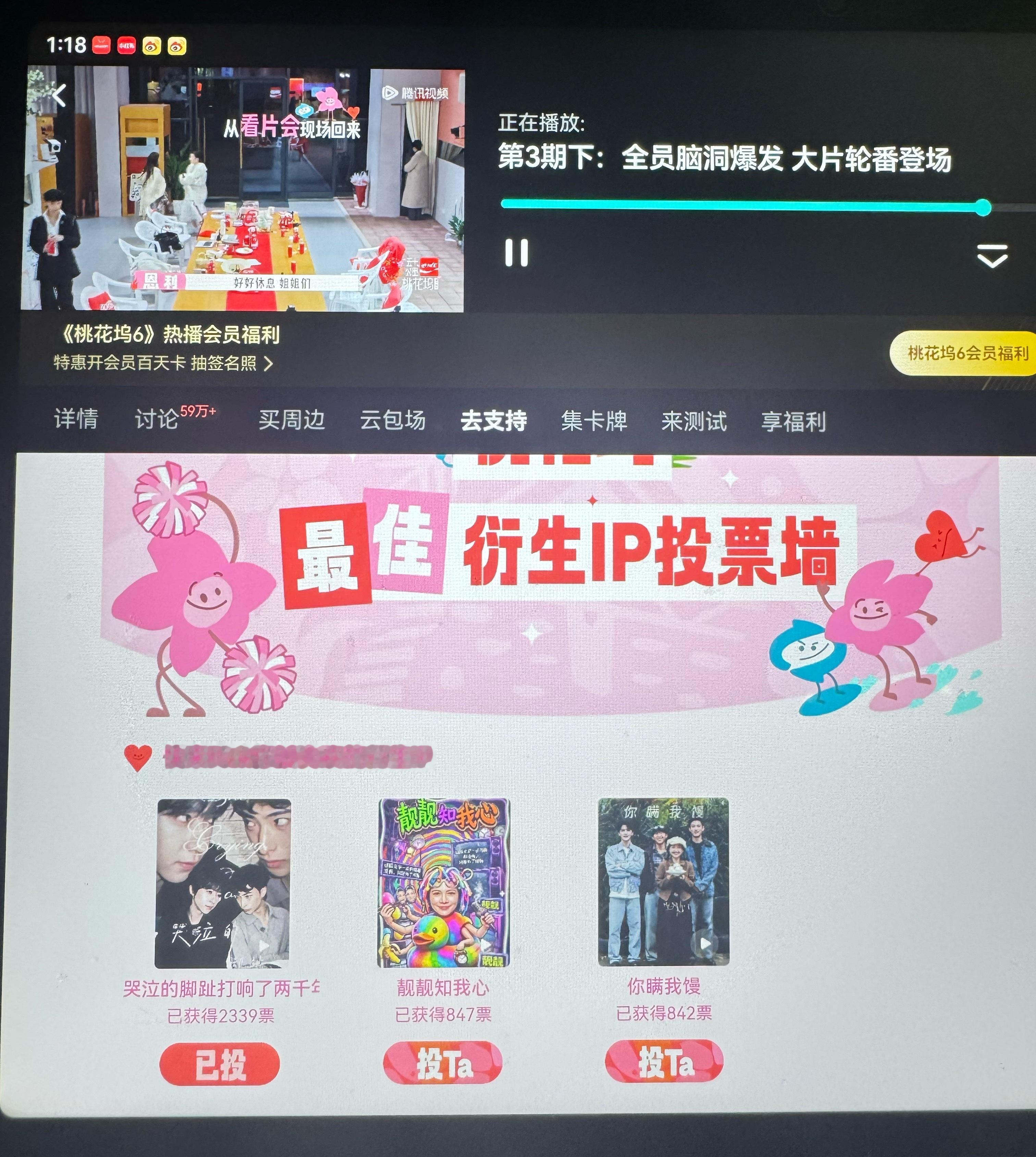 已支持贺峻霖五十公里桃花坞6