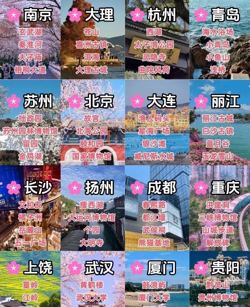 家人们谁懂啊，文旅局长在机场卷起来了，各种大招频出，这谁顶得住！文旅局长闪现机场