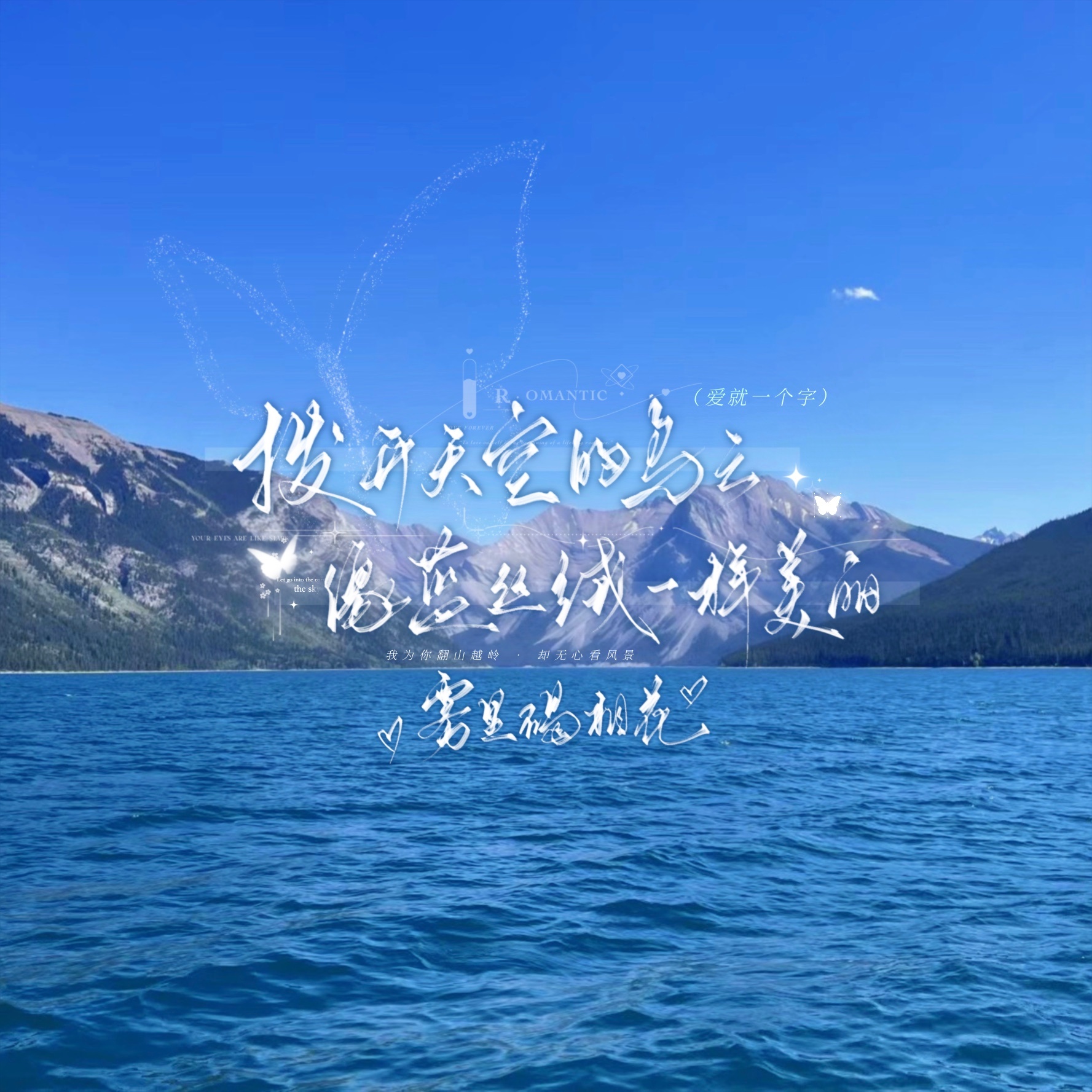 又被好龟龟宠幸了！
