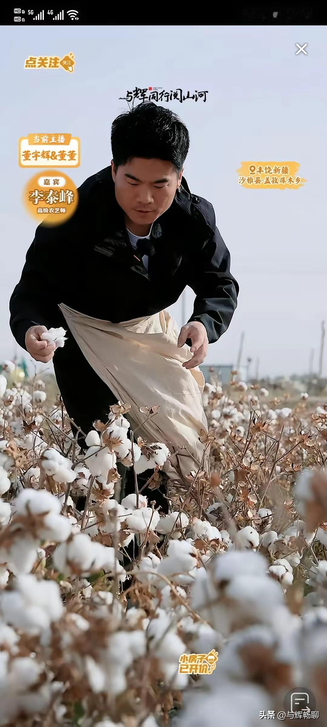 不服不行呀，最近的与辉同行阅山河新疆行燃爆了，就看当晚的直播活动，不管是同时在线