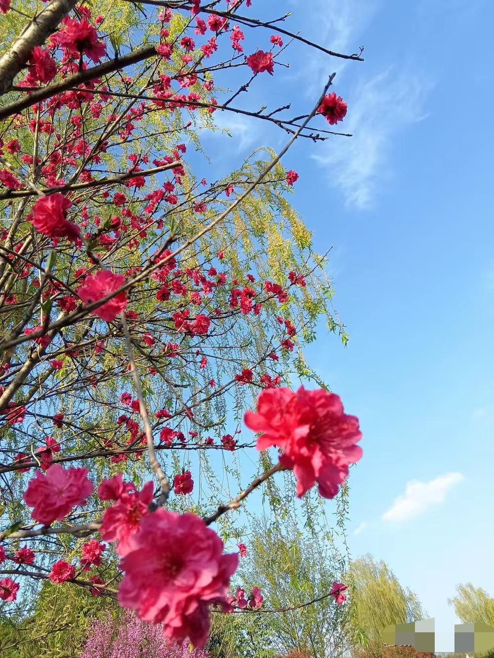 今天一个同事说: 明天就把她女儿送到他爸那里去，这个女儿她不要了，送走就拉黑，不