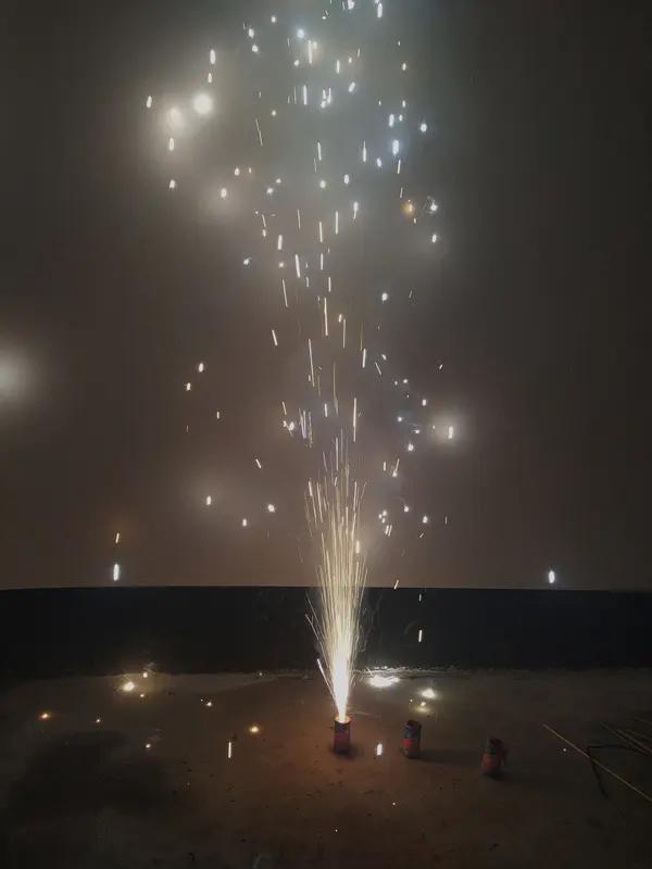 刘震云:‘你真正要做的事，连神明都不要讲。事以密成，言以泄败。安静的做，成功了说