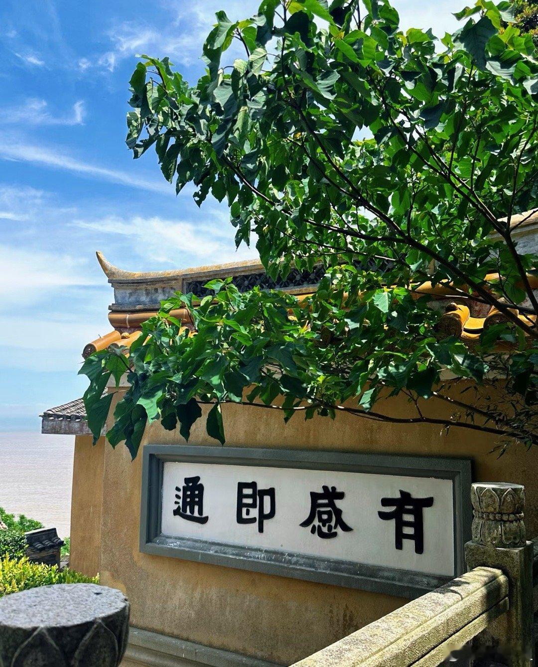 大家早哇～周一马上开盘啦～大家都准备好了吗？在线的粉丝宝子们点赞评论“1776”