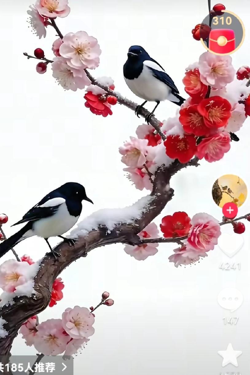 白酒会慢慢退出历史舞台吗？
酒业负责任一语道破，“现在的年轻人都不喝白酒了”。