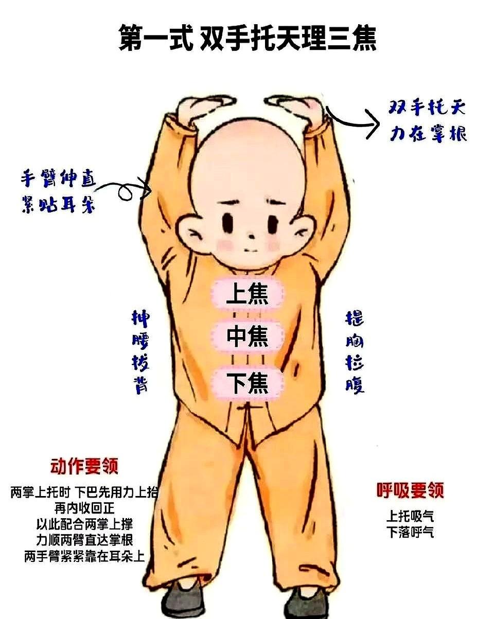 “老李，胳膊贴耳！贴耳！”

晨练队长吼得比鸟叫还响，老李憋得脸红，肩袖旧伤像被