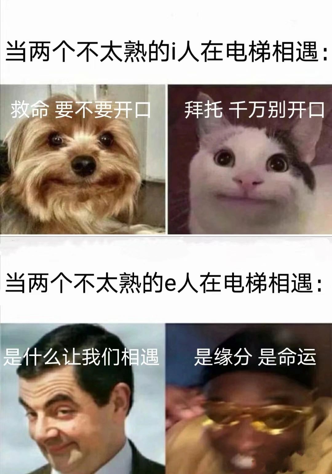 i人和e人的区别 ​​​
