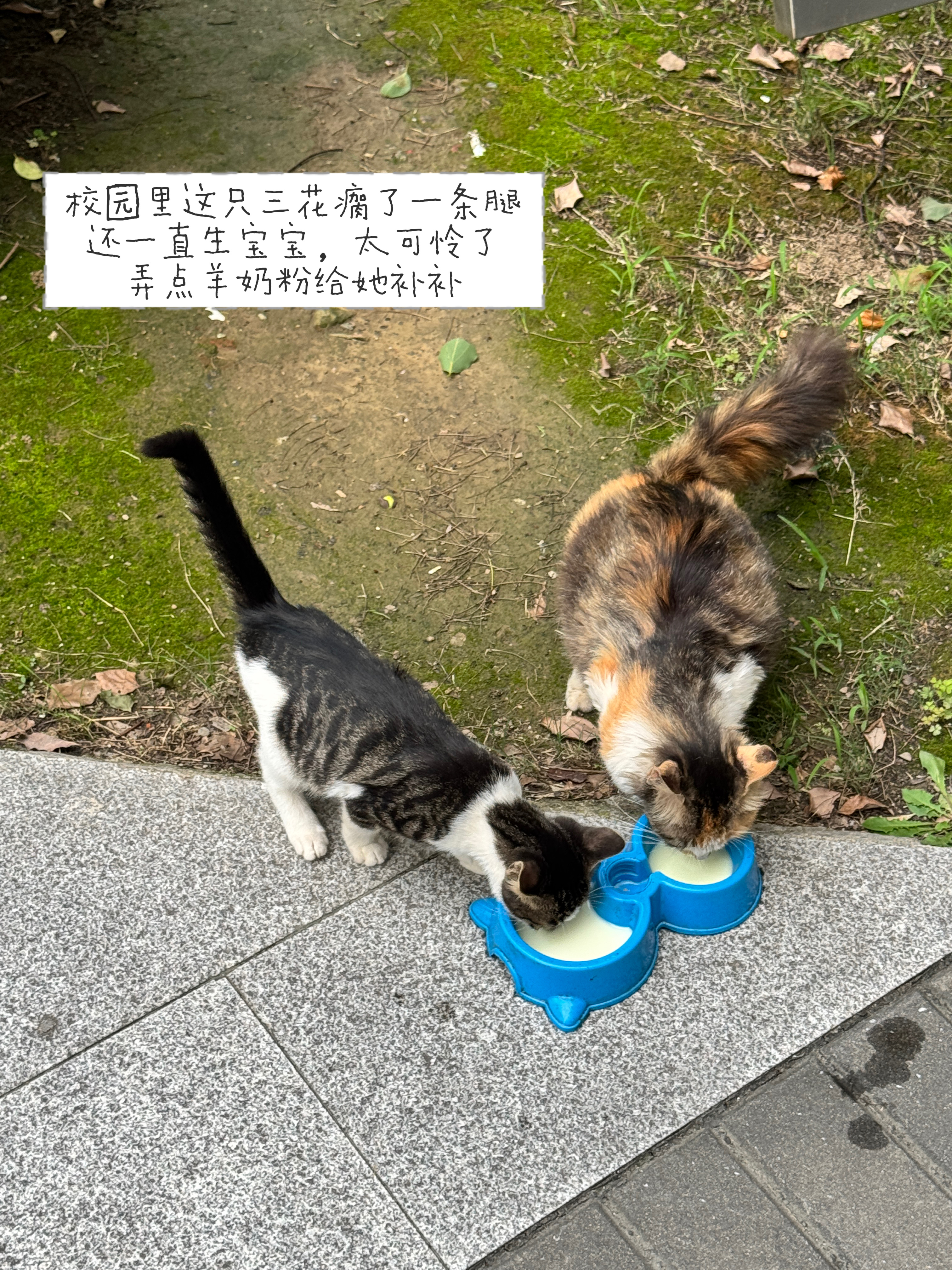 每到学期末我就进入忙碌模式这个学期有一些收获但是也愈来愈多的觉得自己年纪大做很多