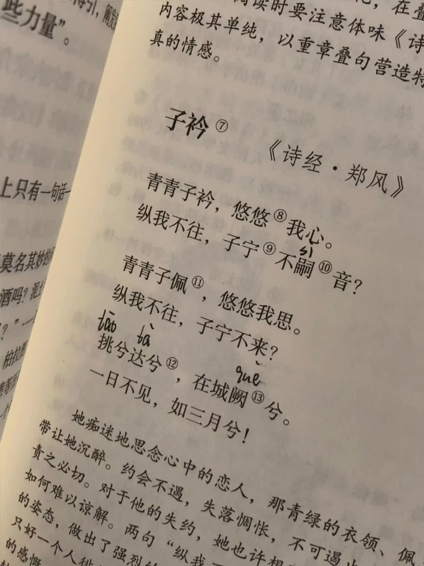 青青子衿 悠悠我心.