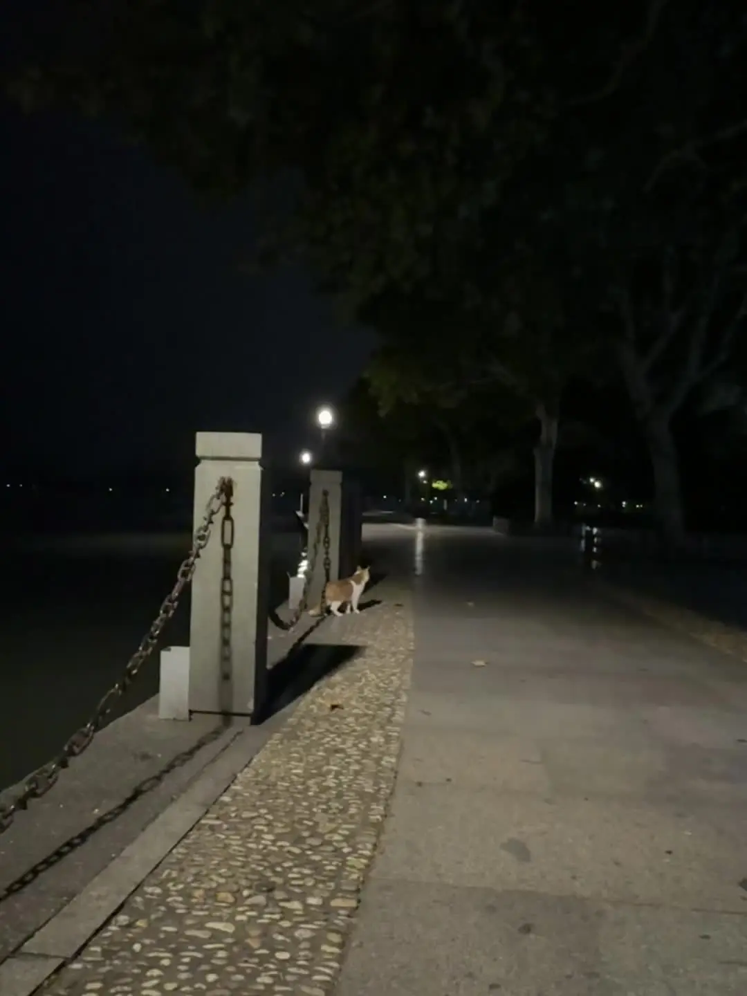 大晚上的只有你陪我