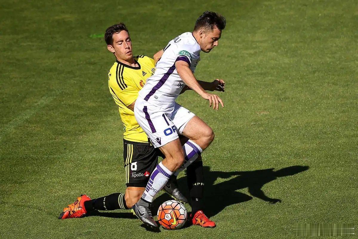 今日公推周六001 澳超 布里斯班狮吼vs惠灵顿凤凰布里斯班狮吼上役联赛客场2-