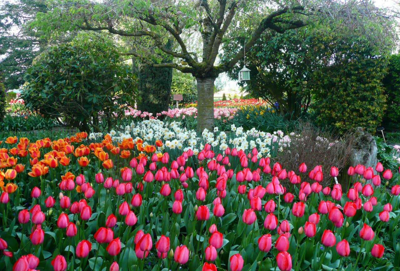 其实从中长线来看，大A慢牛向上趋势并未改变，短期的反复震荡，不过是慢牛长河里的一