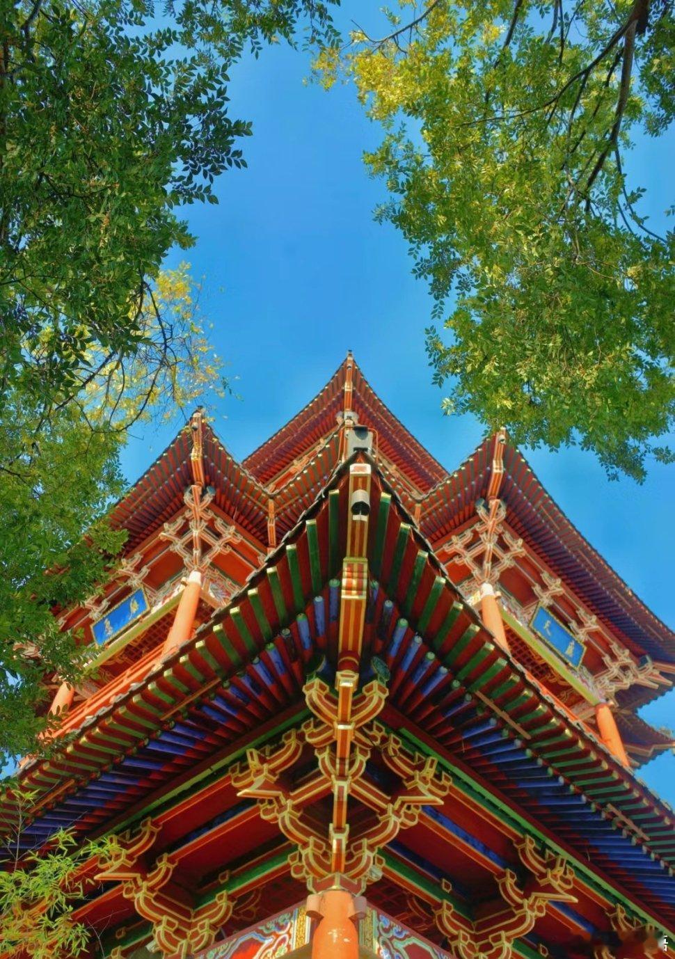 【丽水周末哪里玩】我推荐白云国家森林公园、应星楼、处州府城、丽水市博物馆、丽水摄