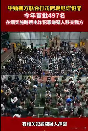 今年伊始，首批497名涉诈分子从缅甸押解回国。果敢电诈已基本肃清，妙瓦底的KK园