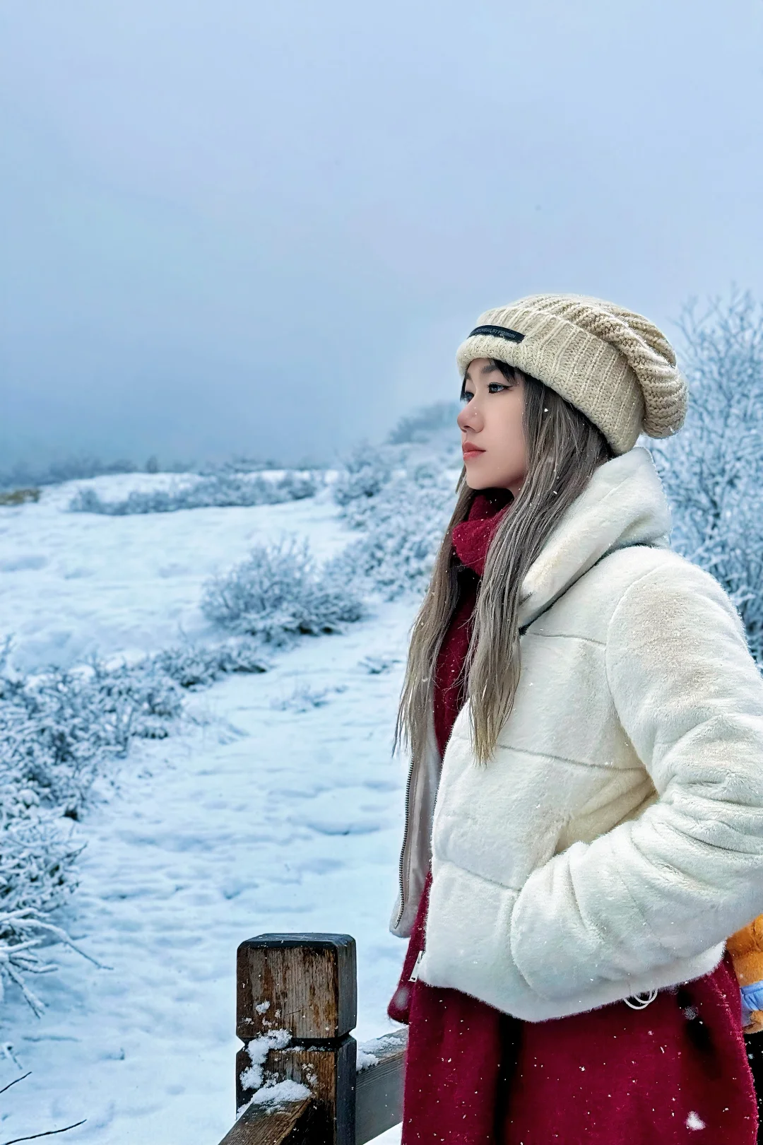 可以让我看看你们相册里的雪景吗❄️！！