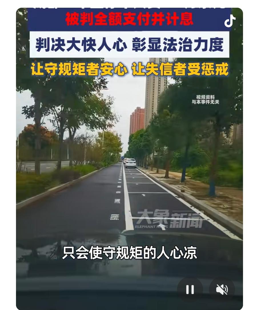 别以为停车费是小事，欠费不还，真能“躲猫猫”？
近日，成都自由贸易试验区人民法院