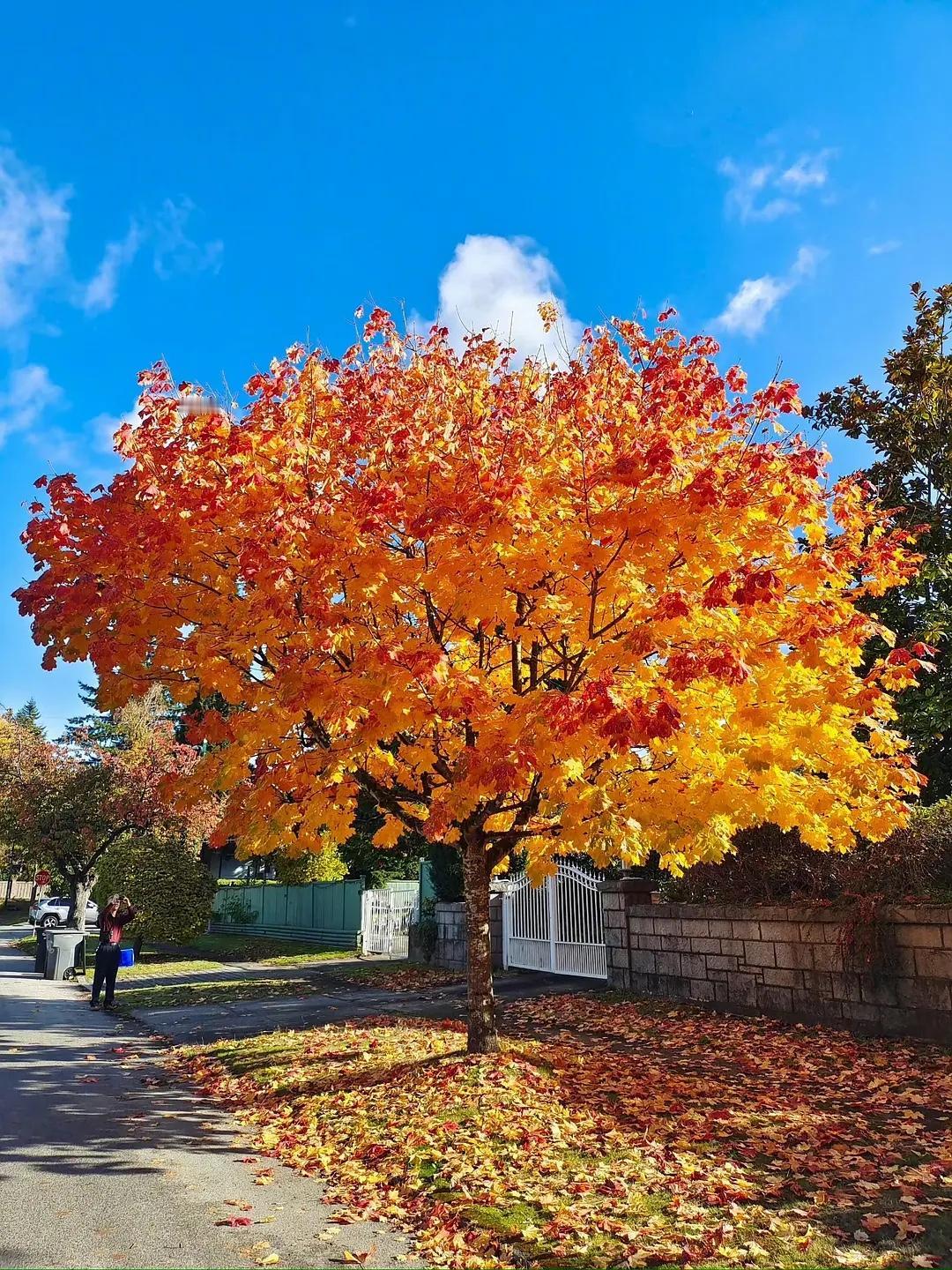 说起来真是讽刺。同事父亲癌症住院，北京治疗需垫付20万，医保报销前这笔钱像块巨石