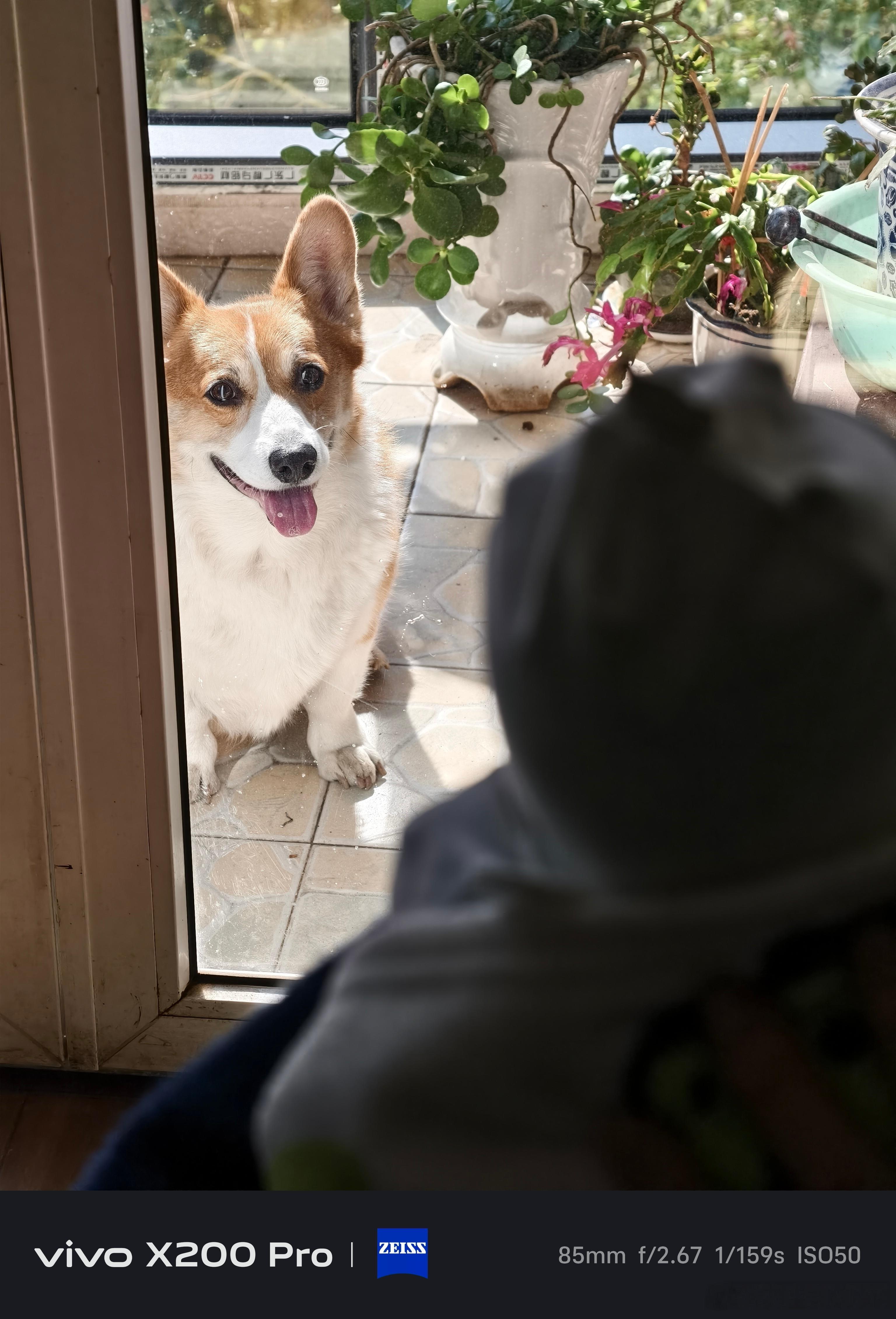 短暂而繁忙的周末，麦总咖总达成了历史性的首次会晤，同时麦总还亲临了麦当劳的视察指