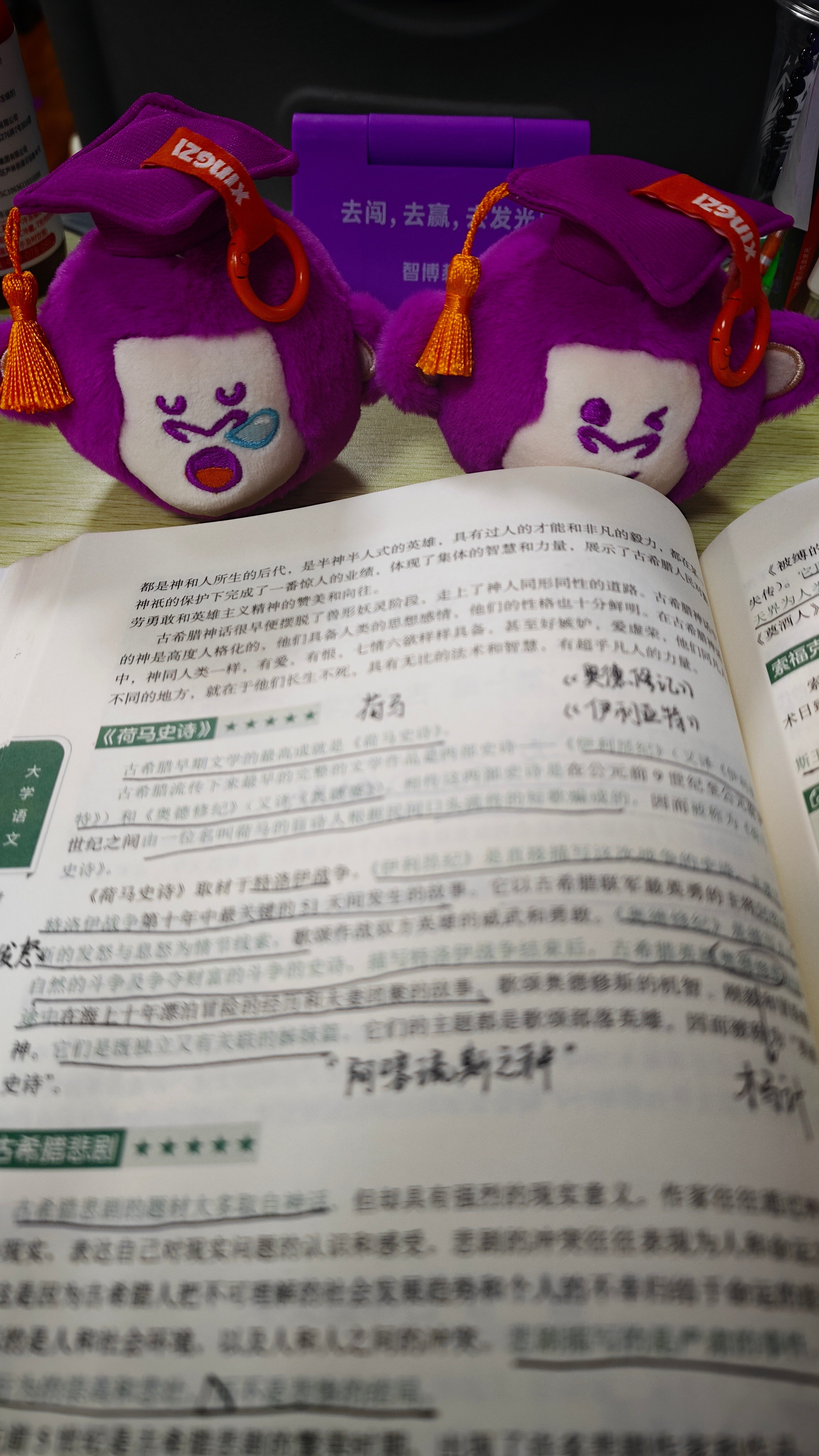 在线陪崽崽早读ing外！左边那只，不许睡觉！小心我告智多猩老师🙋🏻‍♀️智博