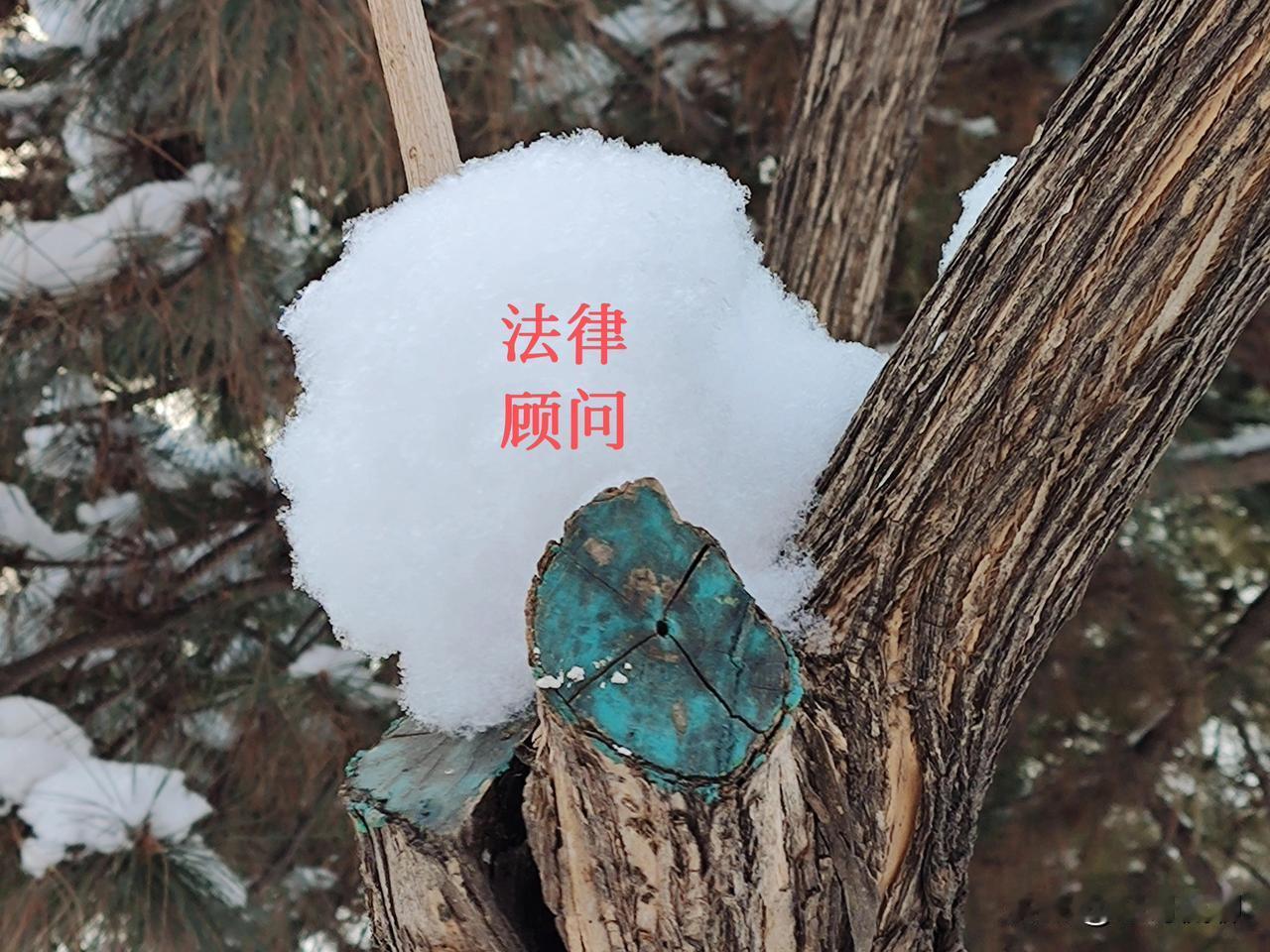 人的一生最大的财富是什么?人生随化，其实不是躺平，而是学会给自己放松，让绷紧的神