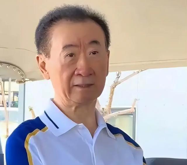 如果万达倒下了，这种营商环境，以后全世界谁还敢来投资！为了守住万达的根基，王健林