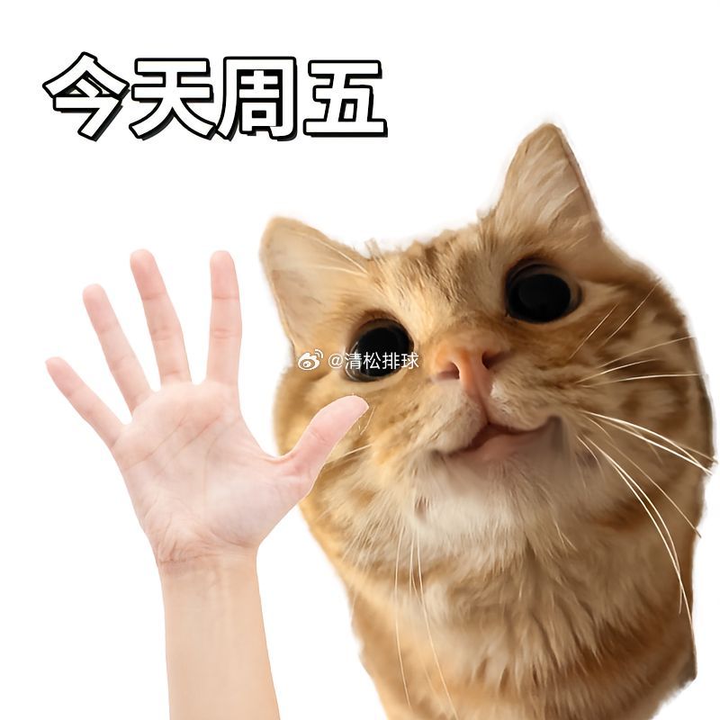 早安清松排球🏐清松排球的早安