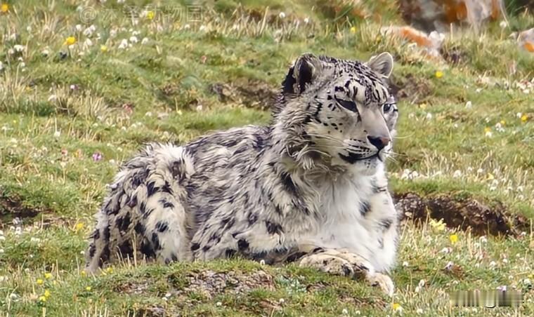 有人说起故乡，嘴里尽是甜蜜与骄傲，
​
​有人说起故乡，喉间都是哽咽与缄默。
​