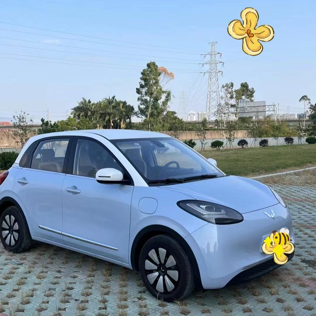 买纯电代步小车，选五菱缤果就对了

之前一直不理解为什么新能源汽车越来越火，直到