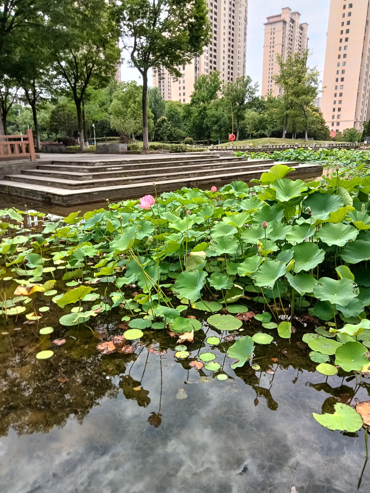 “心湖暗起千层浪，脑海明激万丈潮”，这两句诗太妙了，精准描绘出内心的波澜壮阔。就
