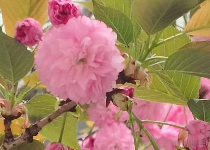 她说得对，天大地大，老婆最大

昨天下班，媳妇让我顺路买瓶酱油。我满口答应，结果