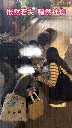 同种不同命，没办法……


难怪它落寞神伤，因为自由和爱一样都没有！
小狗其实什