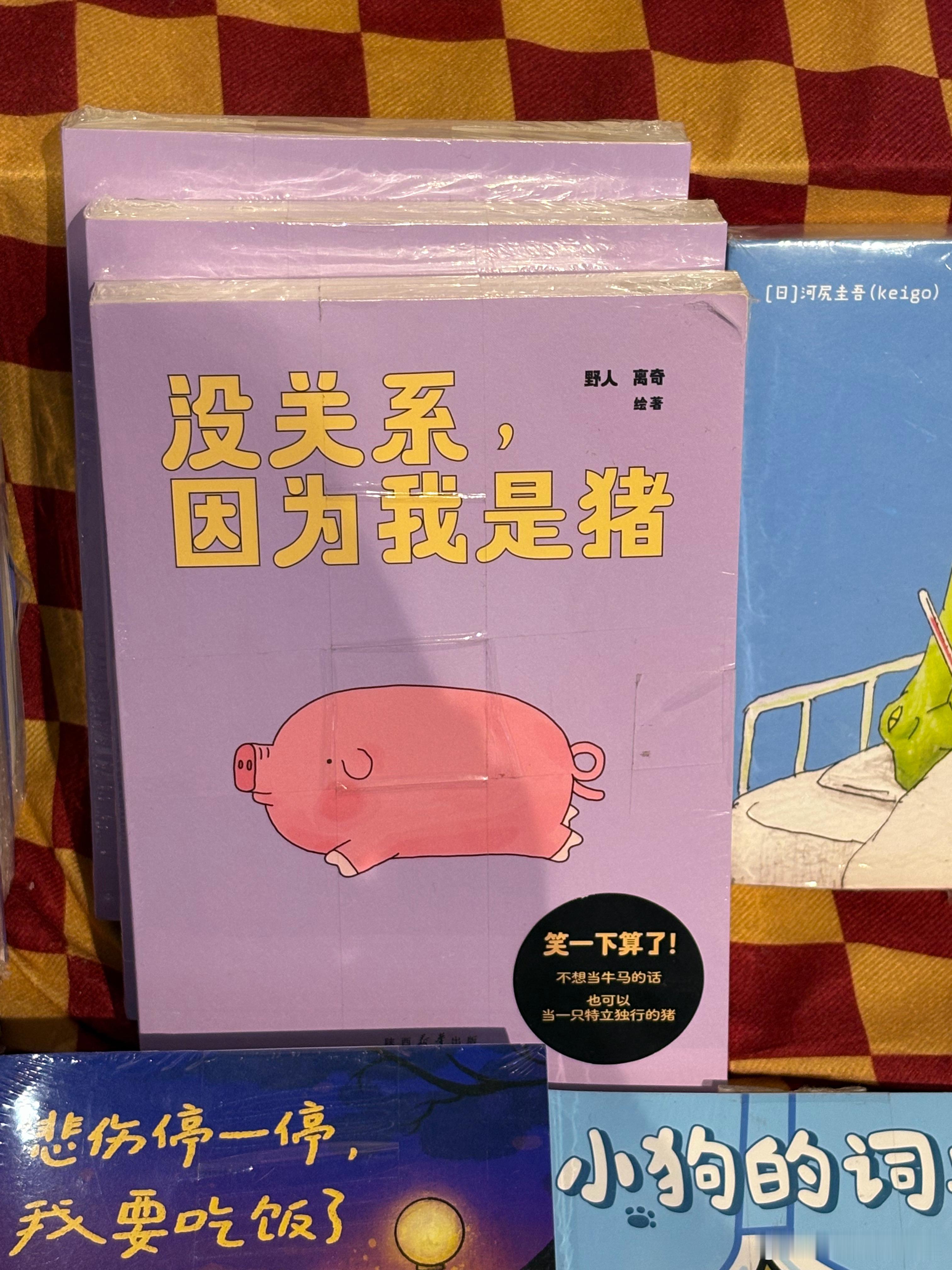 没关系，因为我是猪🐽 