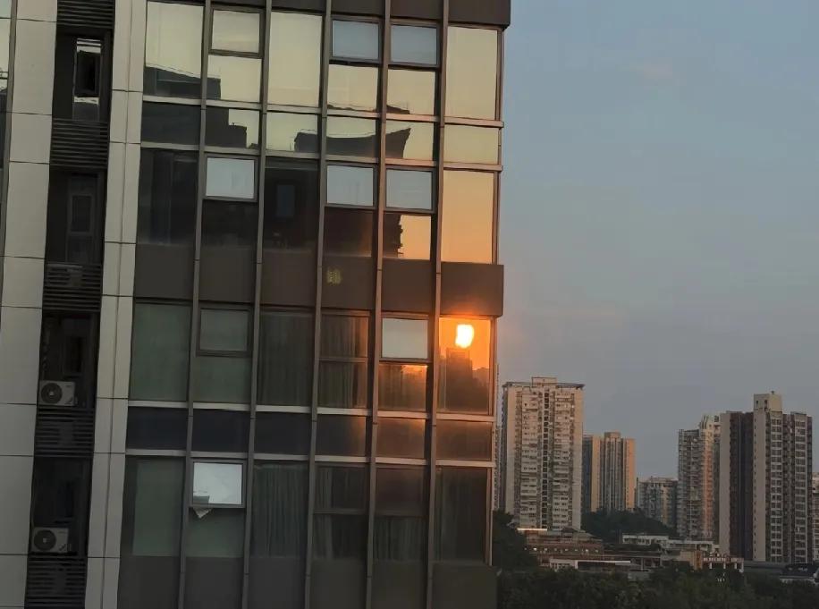 看着窗外的夕阳裹着高楼，突然有点鼻酸——26岁，结婚不到一年就离了，明明不是我的