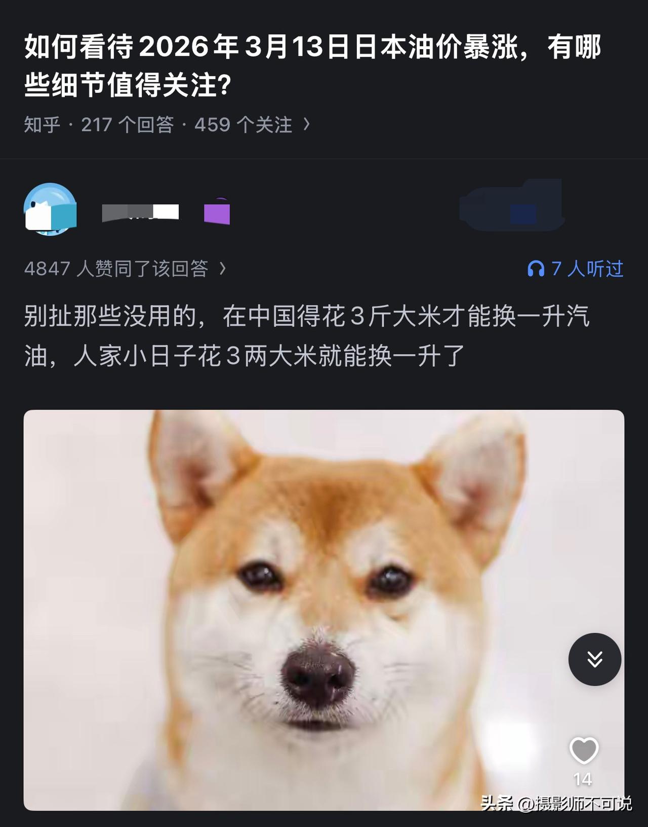 我严重怀疑这是在钓鱼，只是这只狗头稍微大了一点，可能暴露了意图。在网上有人问“如