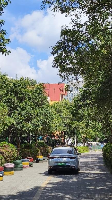 今早出门撞见南京终于放晴，连气温也跟着踩了降温的小油门往下落，实打实飘出了初秋的