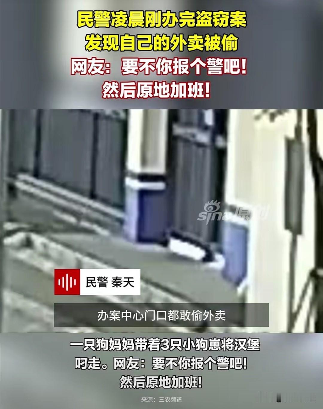 四川成都一位民警凌晨处理完盗窃案，发现自己点的外卖不见了。调看监控后，他看到一只