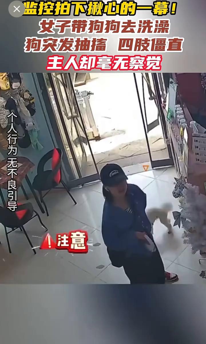 监控拍下揪心的一幕！女子带狗狗去洗澡，狗突发抽搐四肢僵直，主人却毫无察觉。
4月