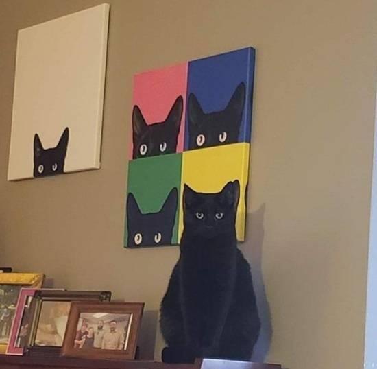 搞笑图片： ​​​