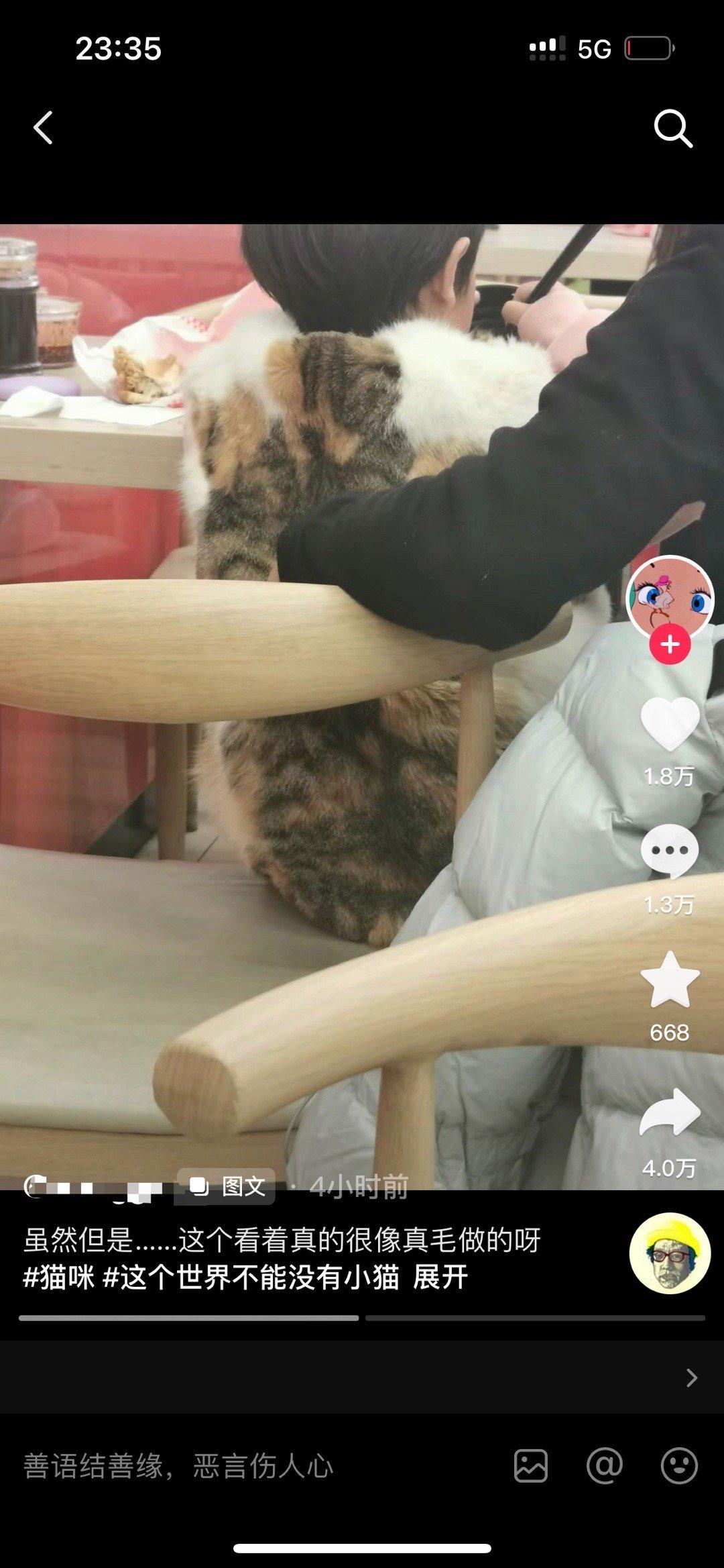 为什么要抢猫猫唯一的衣服[泪] ​​​