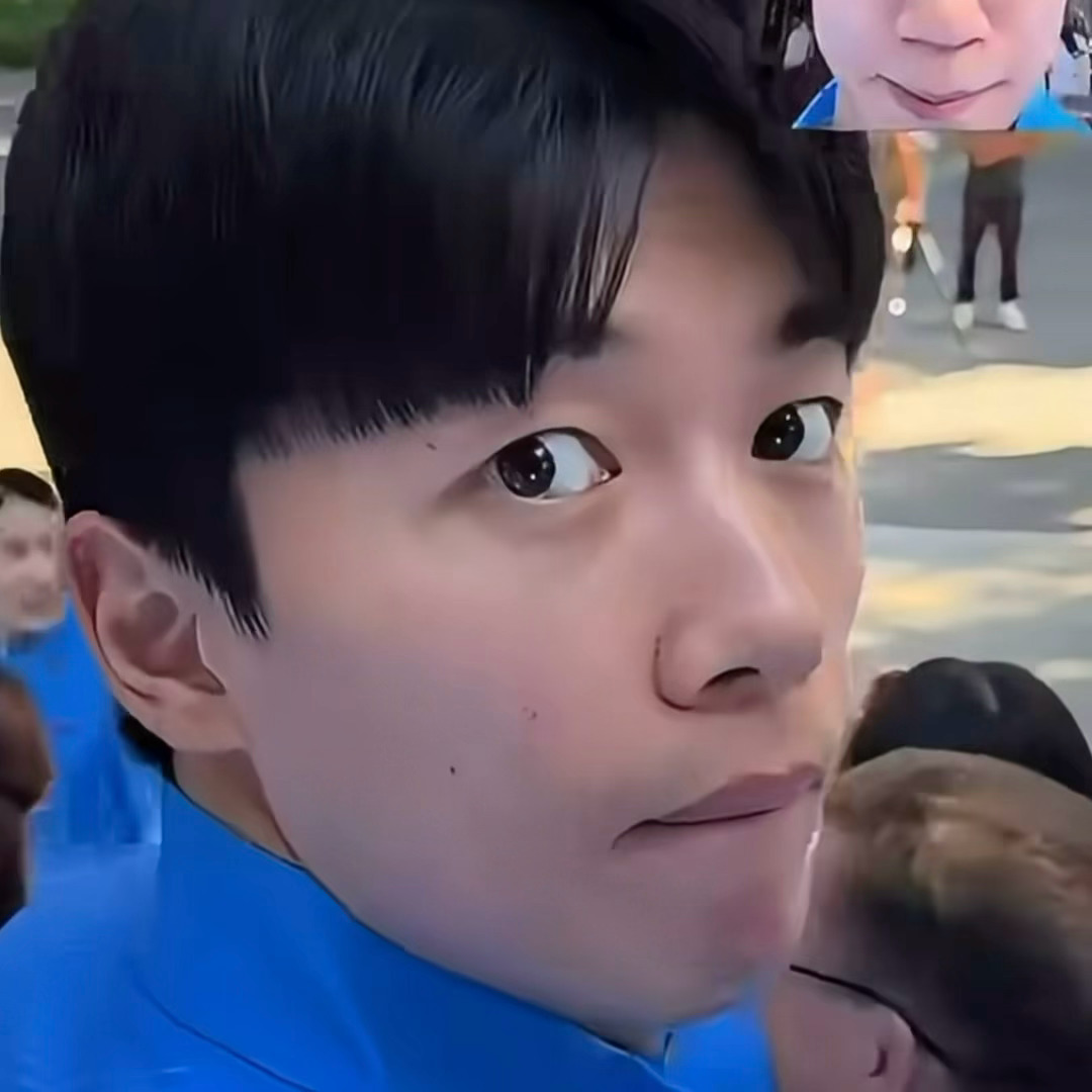 顺纸是啥猫，笨猫，凑凑猫 ​​​