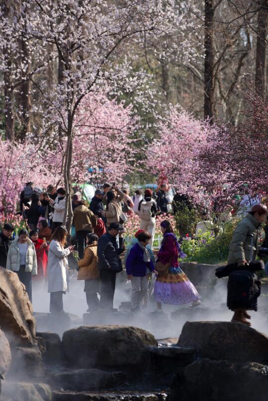 人多•但莫名觉得有点好看🌸