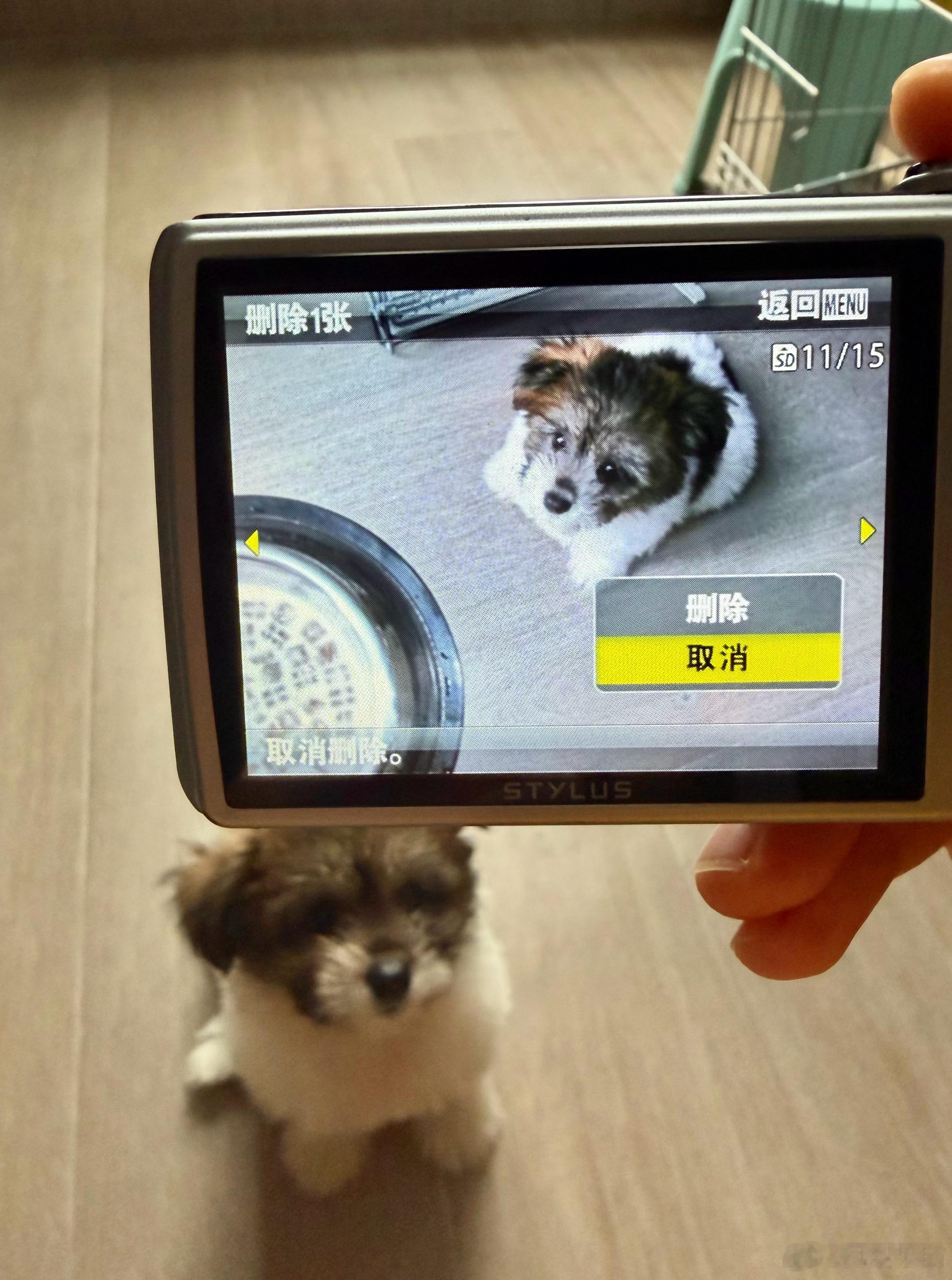 发工资时 