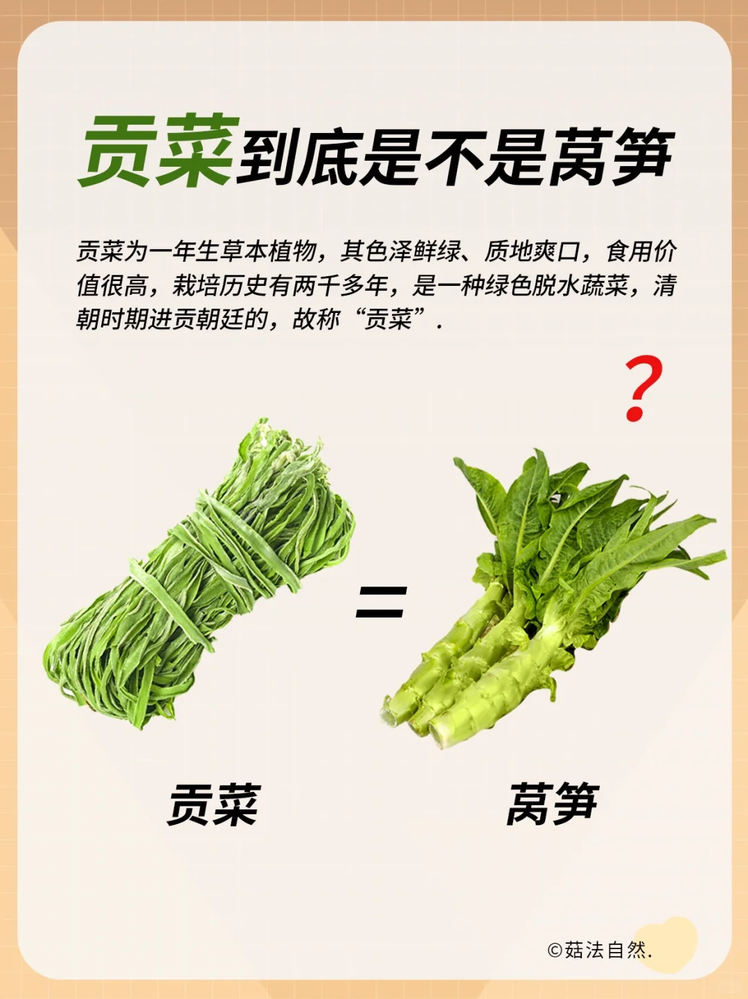 贡菜到底是不是莴笋❓