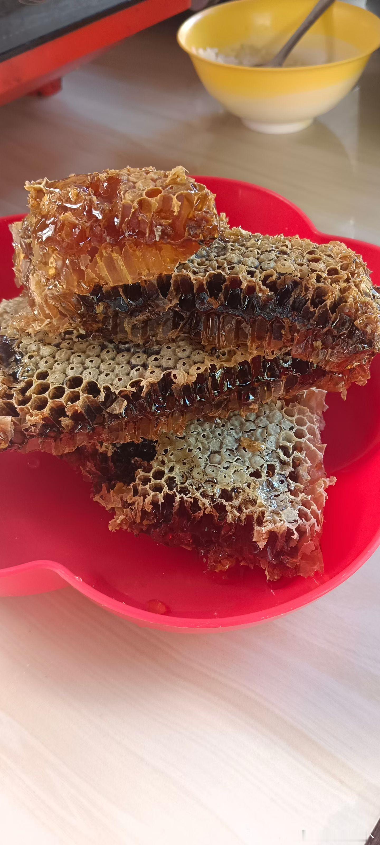 老鼠偷了人类的大米，人们说它狡猾；人类偷了蜜蜂🐝的蜂蜜，却说蜜蜂勤劳 