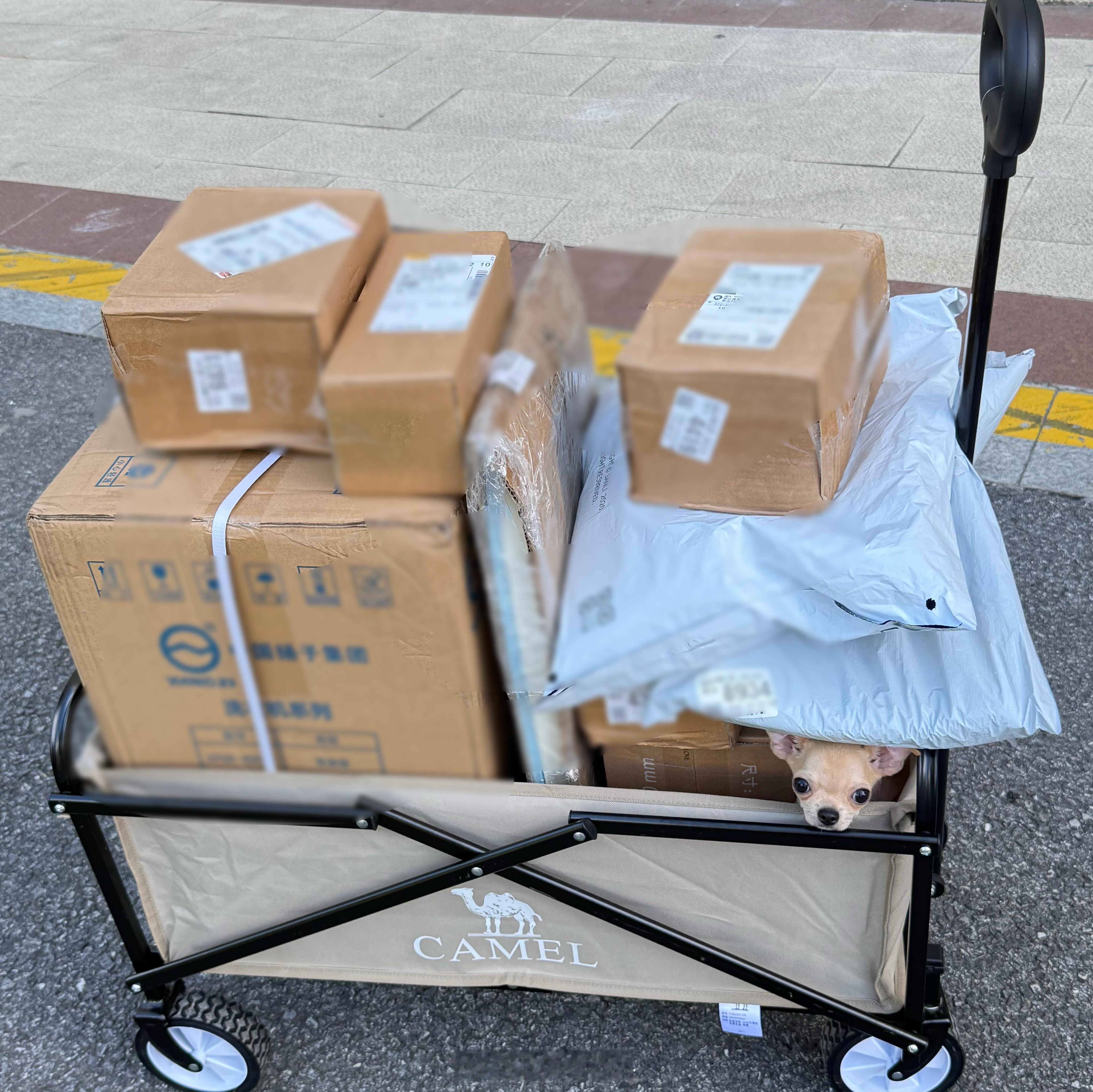 妈妈，小蛋蛋我好像有点似了 ​​​