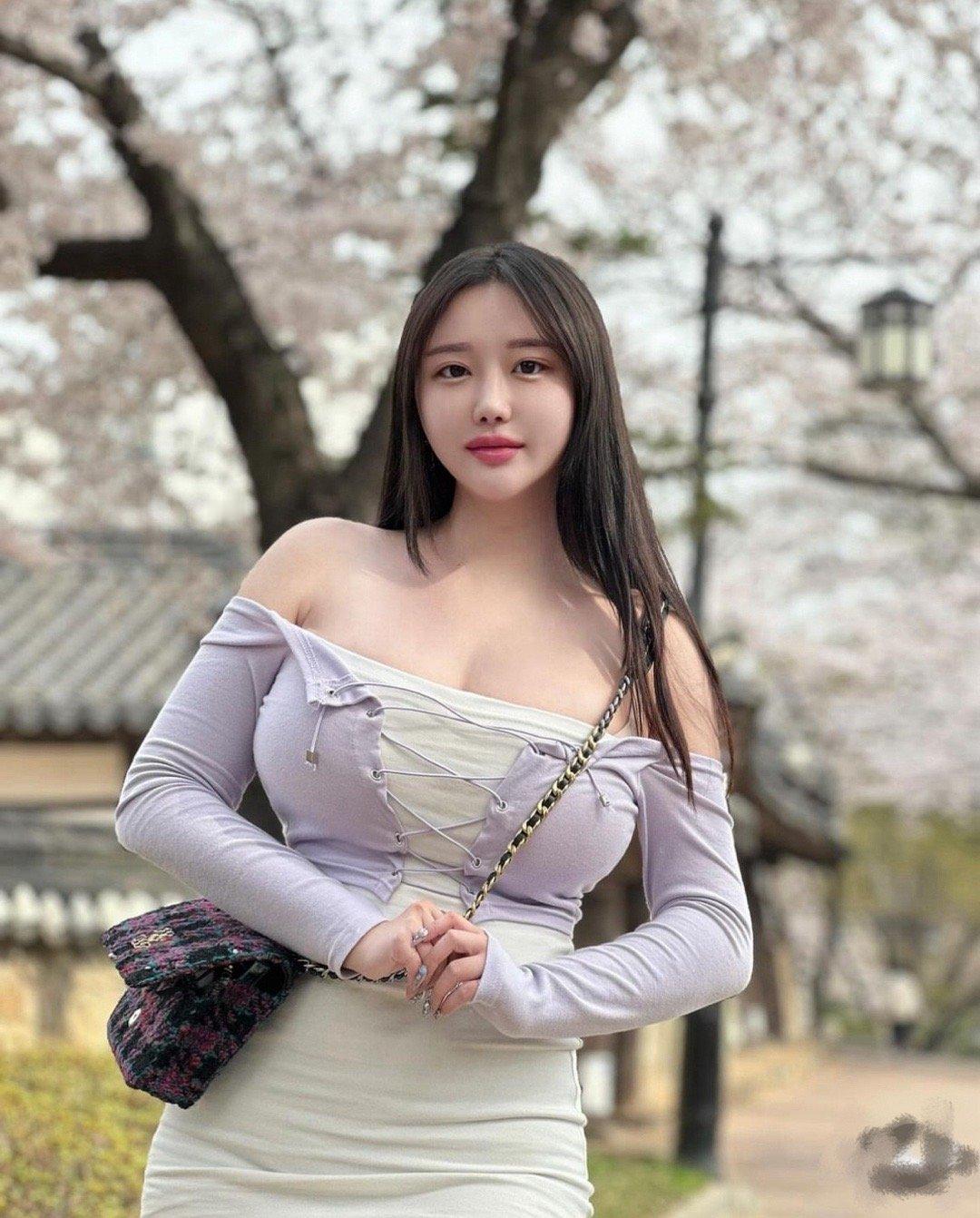樱花季 ​​​